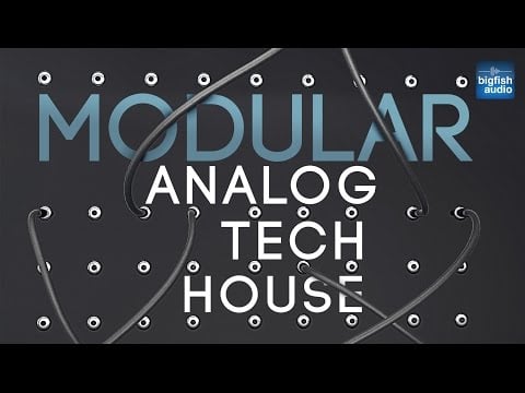 Big Fish Audio Presents... Modular: Analog Tech House