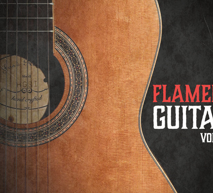 Flamenco Guitars Vol 2 (Sample Packs)
