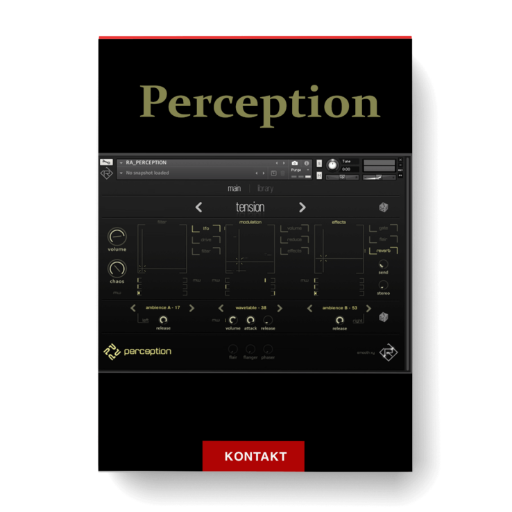 Rigid Audio Perception