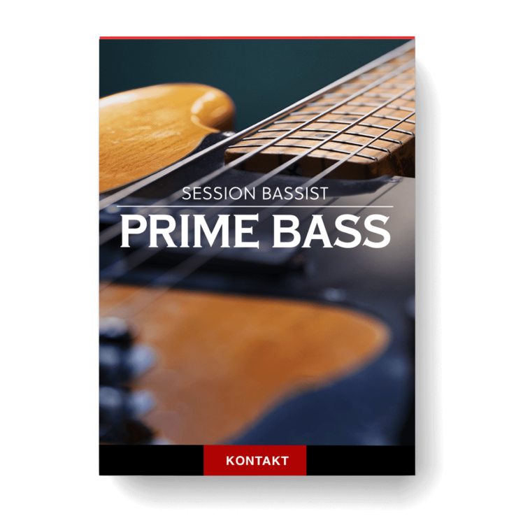 Session Bassist-Prime Bass