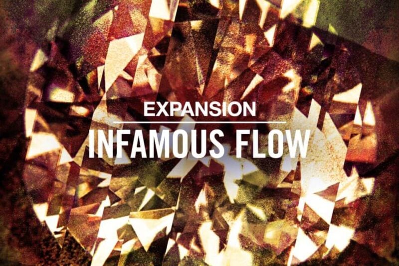 Infamous Flow Expansion Download