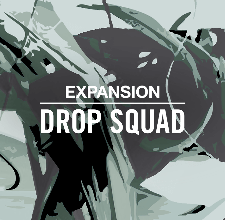 Drop Squad Expansion