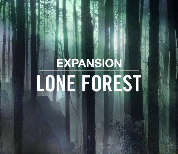 Lone Forest Expansion