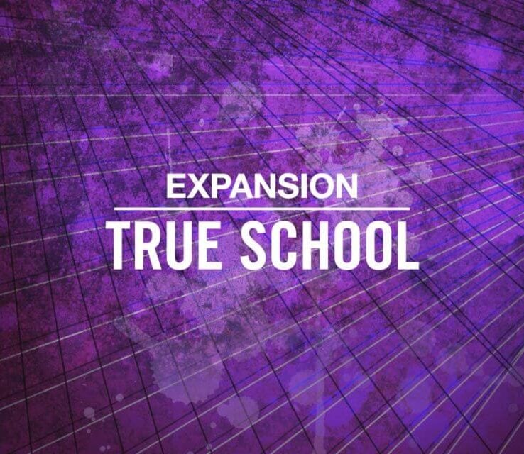 True School Expansion