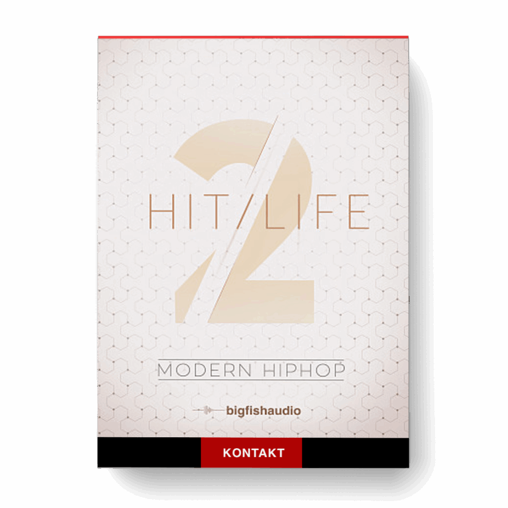 Big Fish Audio - Hit Life 2
