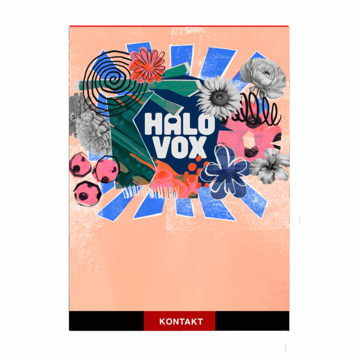Native Instruments – Play Series Halo Vox